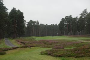 Swinley Forest 3rd